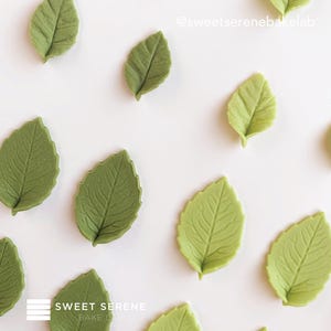 May include: A collection of small, edible-style leaf decorations in various shades of green, ranging from light lime to deep olive. Each leaf features detailed veining and serrated edges. The text @sweetserenebakelab is visible in the top right corner.