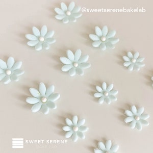 Edible Sugar Fondant Blue Daisy Flower Decoration for Birthday Cake/ Cupcakes Topper Christmas, Xmas- Set of 12