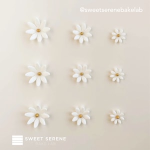 Edible Fondant White Daisy Flower with Gold Pearl Decoration for Birthday Cake/ Cupcakes Topper Father&#39;s Day- Set of 12