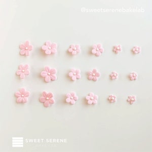 Edible Fondant Pink Cherry Blossom/ Sakura Flower Decoration for Birthday Cake/ Cupcakes Topper Christmas, Xmas- Set of 12