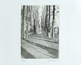 Original Schwarz-Weiss Radierung - Etching "Sonnige Allee"