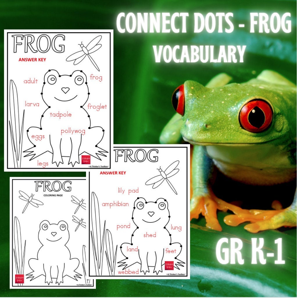 Frog Vocabulary Worksheets Connect the Dots Etsy Canada