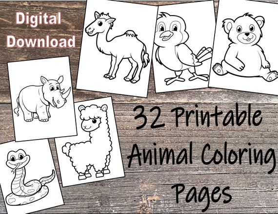 32 Animal Coloring Pages for Kids Printable Digital | Etsy