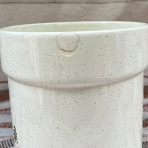 Puede incluir: Maceta de cer&aacute;mica blanca con acabado moteado. La maceta tiene un peque&ntilde;o astillado en el borde.