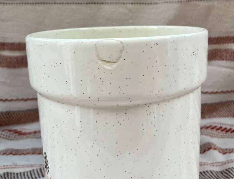 Puede incluir: Maceta de cer&aacute;mica blanca con acabado moteado. La maceta tiene un peque&ntilde;o astillado en el borde.