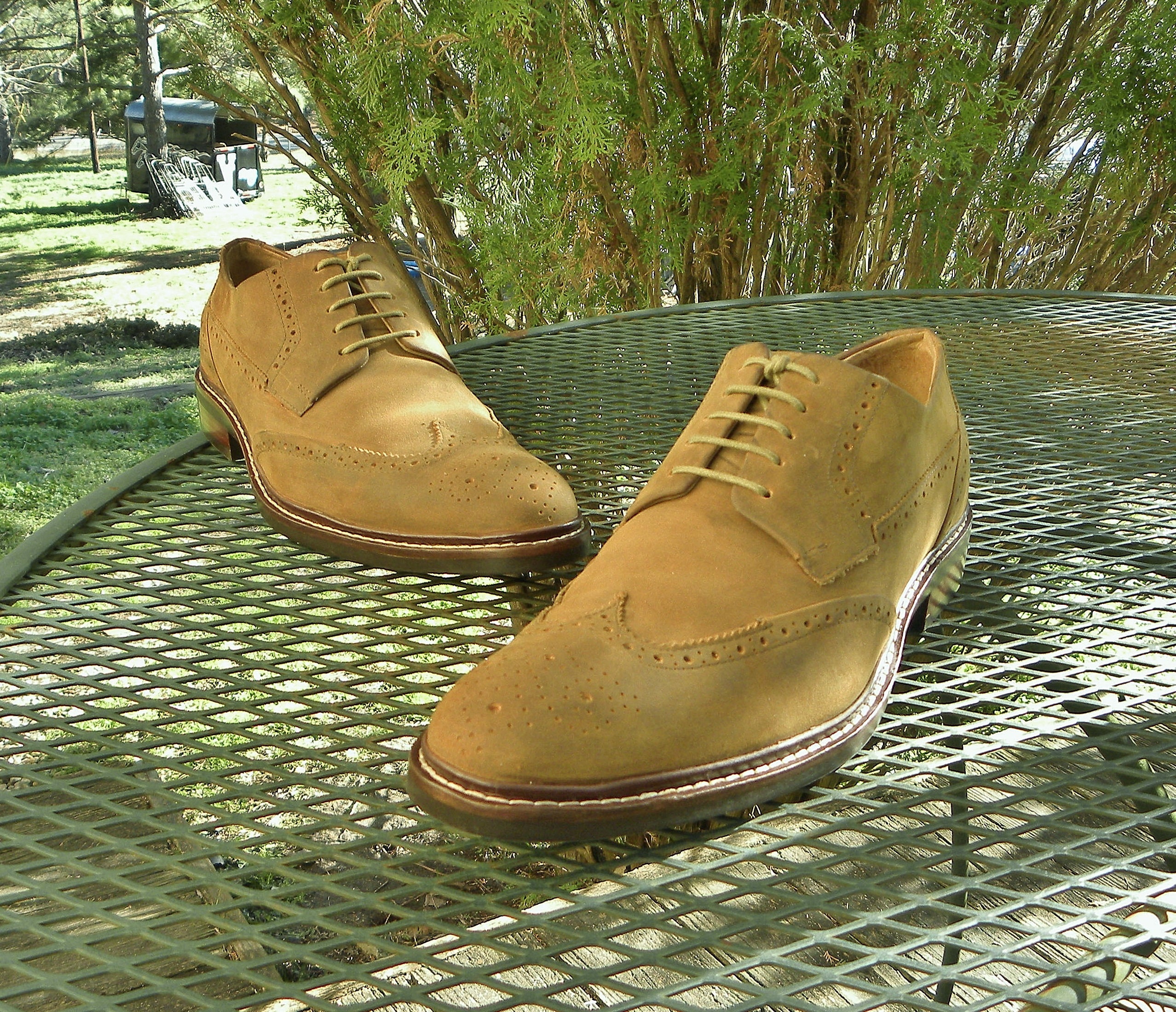 Cole Haan Suede Brogue Oxfords Shoes Beige Mens 8 Cole Haan Suede Beige Dress Shoes for Men for sale | eBay main image 3