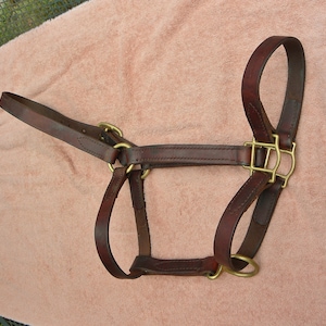 Vintage Leather HORSE Halter Brass Hardware--Brown -HORSE Size