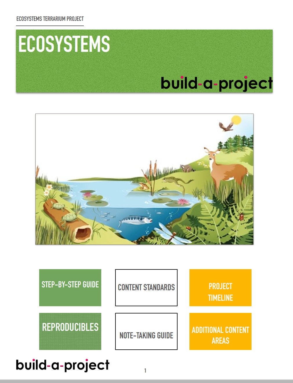 Ecosystem Science Project 5th-9th Grade | Etsy
