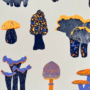 May include: A collection of colorful mushrooms with blue and orange accents. The mushrooms are illustrated in a whimsical style with various shapes and sizes.