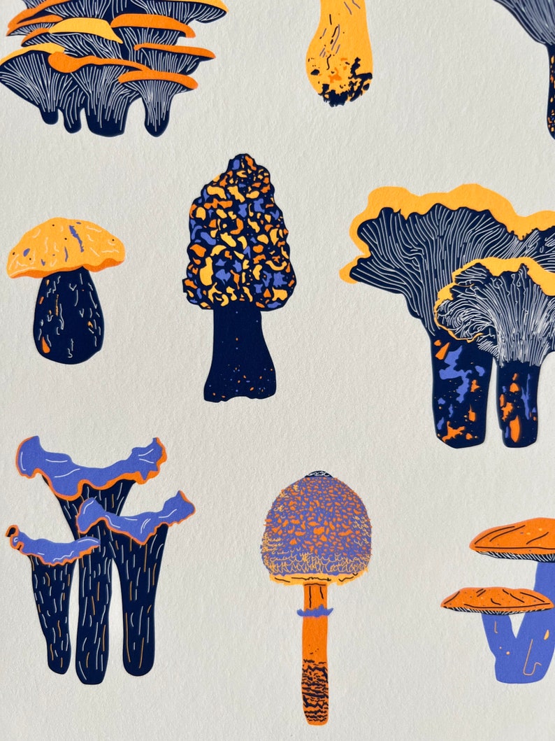 May include: A collection of colorful mushrooms with blue and orange accents. The mushrooms are illustrated in a whimsical style with various shapes and sizes.