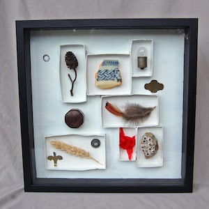 Framed Found Object Art, Curated Object Display, Natural and Vintage Objects, Mixed Media Artwork, Assemblage Art, Found Object Collection