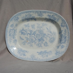 May include: An oval ceramic platter featuring a white base with a light blue floral transferware pattern. The design includes detailed illustrations of various flowers and foliage across the centre and a decorative border along the rim.