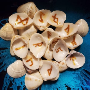 May include: A collection of white seashells with gold painted runes on the inside. The shells are arranged in a circle on a blue surface.