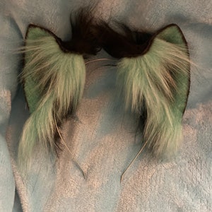 Mint cat ears