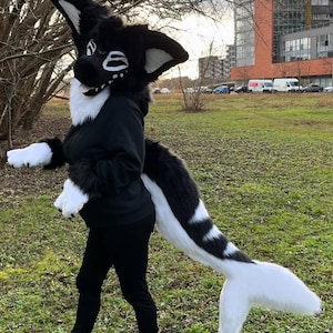 May include: A black and white furry costume with a long tail. The costume features a black hooded sweatshirt, a white and black head with large ears, and a long white and black tail with a white fin at the end.