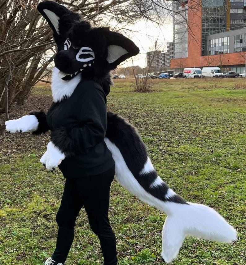 May include: A black and white furry costume with a long tail. The costume features a black hooded sweatshirt, a white and black head with large ears, and a long white and black tail with a white fin at the end.