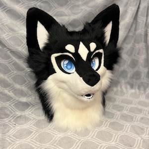 May include: A black and white furry wolf head with blue eyes. The wolf head is a plush toy and is made to look realistic.