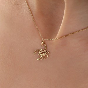 Zodiac Necklace Etsy
