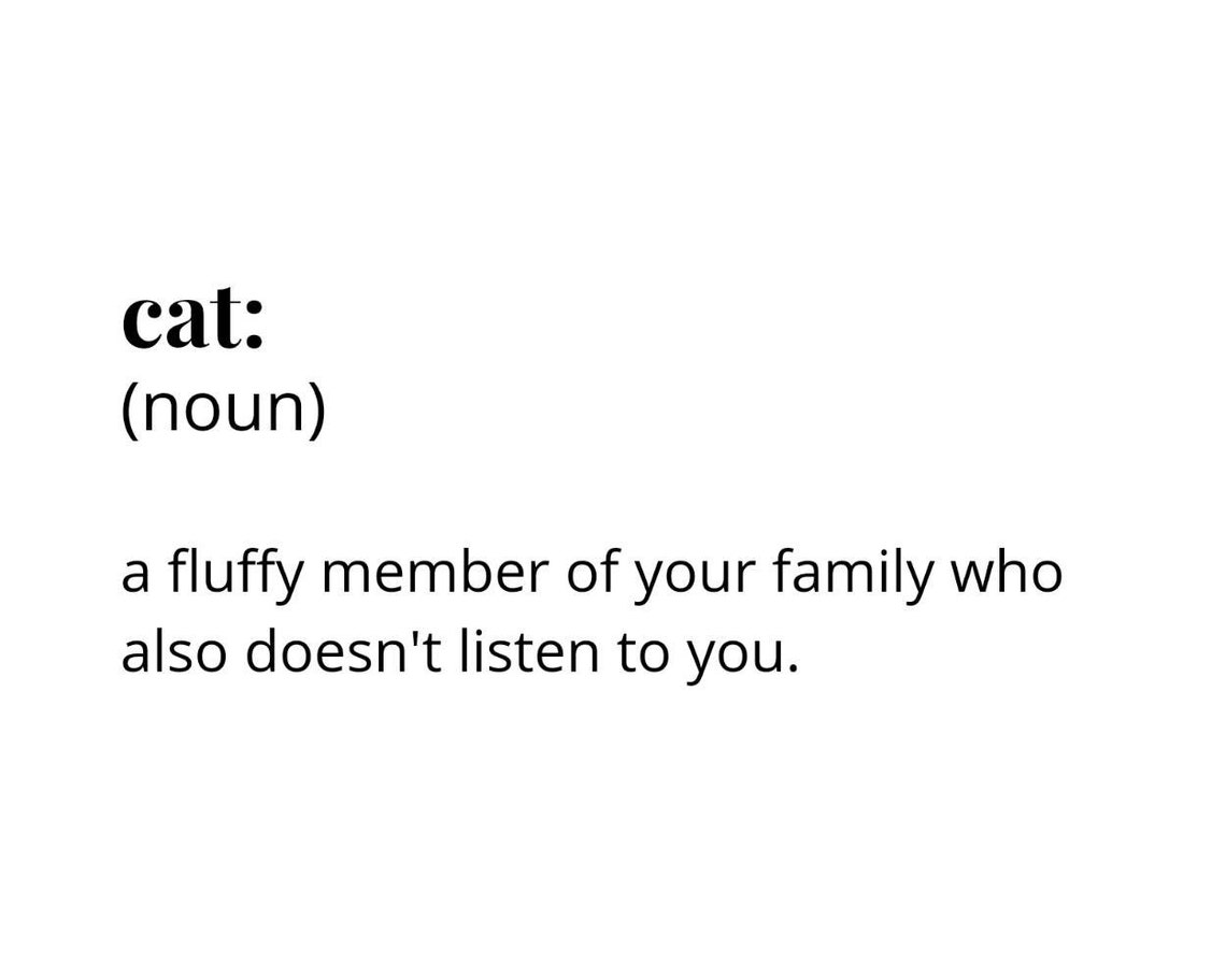 Cat definition print Dictionary definition Funny print Etsy