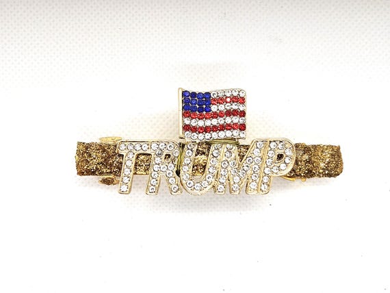 Donald Trump Rally USA Flag MAGA Patriotic America First  display picture 3