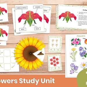 Flowers Unit Study - Printable to learn about flower anatomy, life cycle of flower, flower species & counting activities
