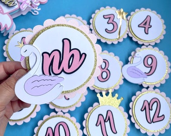 Swan Princess Milestone Photo Banner