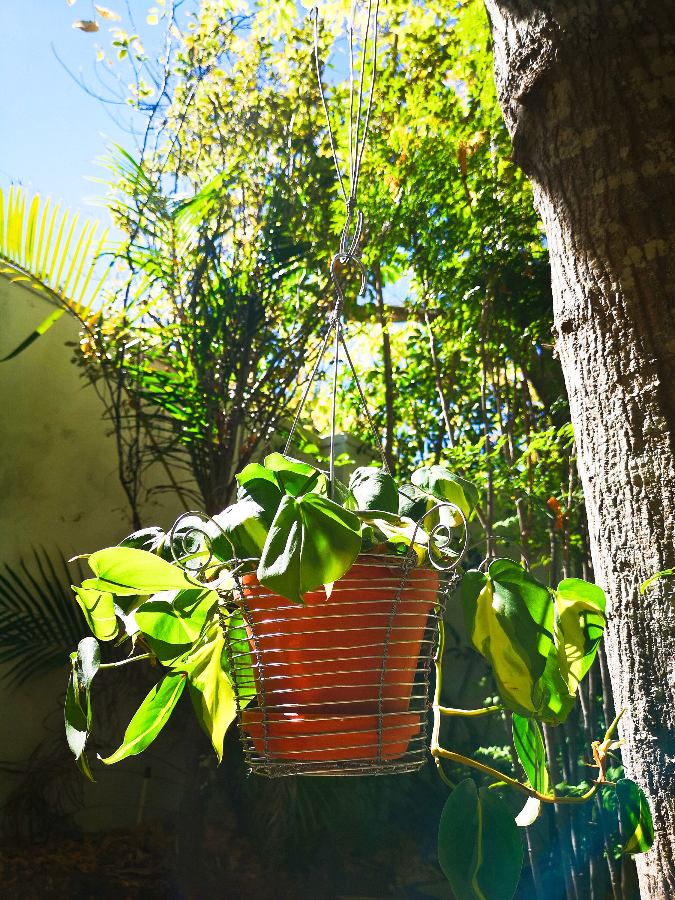 Handgemachte hängende Pflanze Topfhalter gewebt Draht | Etsy