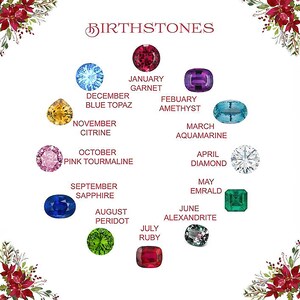 May include: A chart showing the birthstones for each month of the year. The chart is decorated with red poinsettia flowers and green leaves. The birthstones are shown as gemstones in their respective colors.