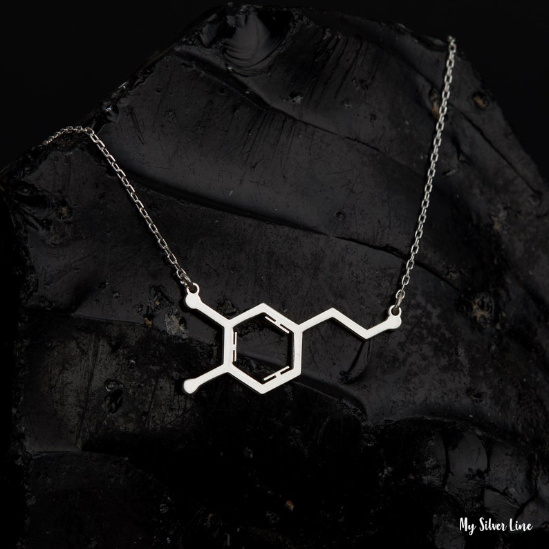 dopamine necklace, sterling silver dopamine pendant, molecular jewelry, motivation necklace, science jewelry, chemistry symbol charm, gift for scientists, neuroscience jewelry, chemical structure necklace, dopamine molecule pendant, brain chemistry jewelry, scientist gift, lab lover gift, chemistry lover necklace, serotonin dopamine jewelry
