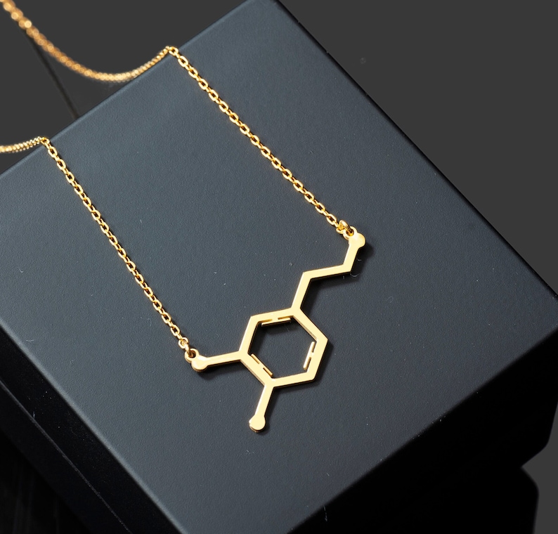 dopamine necklace, sterling silver dopamine pendant, molecular jewelry, motivation necklace, science jewelry, chemistry symbol charm, gift for scientists, neuroscience jewelry, chemical structure necklace, dopamine molecule pendant, brain chemistry jewelry, scientist gift, lab lover gift, chemistry lover necklace, serotonin dopamine jewelry