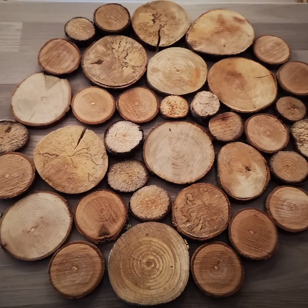 Rondelles de bois - DIY-ARTISANAT 2 PIÈCES bois brut - diamètres disponibles de 3 à 12 cm