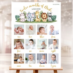 Eitable DIGITAL 1st Birthday Photo banner. Personalized baby girl birthday sign. Bunny, pink flowers party decor. 18x24 in, 24x36 in. SAB