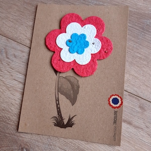 Fleur tricolore Bleu Blanc Rouge à planter