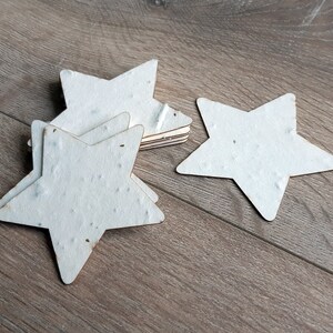 Etoiles à planter en papier ensemencé