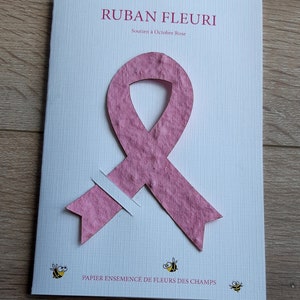 Ruban Octobre Rose à planter