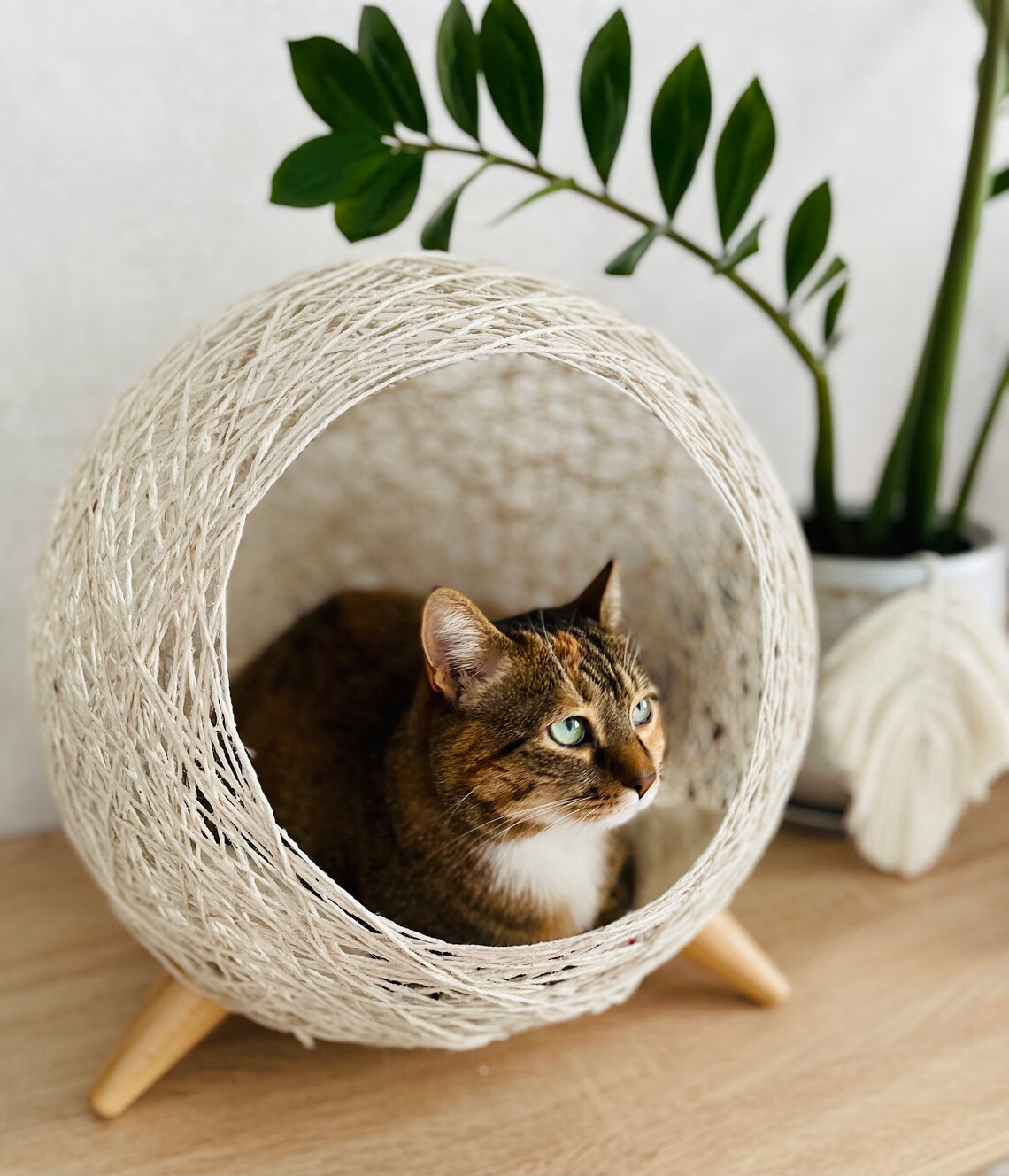 Cat Furniture. Cat Nest. Cat Wicker Bed. Natural Pet Bed. Etsy Australia