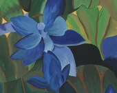 Blue Lotus | Limited Edition Print | Unframed