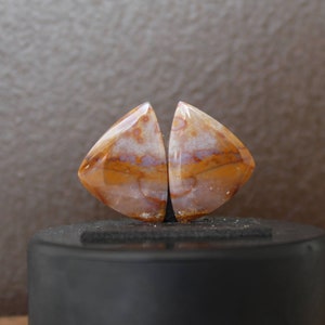 Pode incluir: Dois cabochões de ágata de forma triangular com um padrão branco, marrom e laranja. Os cabochões estão colocados sobre uma superfície preta.