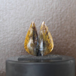 Puede incluir: Dos cabujones de ágata en forma de lágrima con un patrón amarillo, marrón y blanco. Los cabujones están pulidos y tienen una apariencia translúcida.