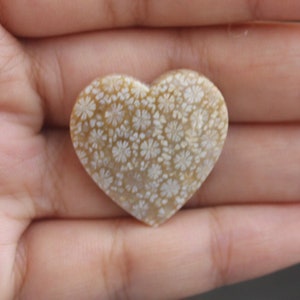 Fossil coral cabochon