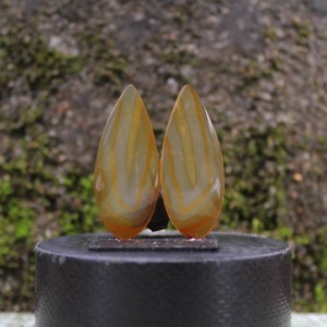 Puede incluir: Un par de pendientes de ágata en forma de lágrima con un patrón de bandas blancas y naranjas.