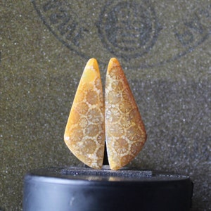 Peut inclure: Deux pierres précieuses polies, de forme triangulaire, de couleur jaune-orangé. Les pierres présentent un motif détaillé de petites formes circulaires, ressemblant à un motif floral ou corallien. Les pierres sont présentées sur un fond neutre.