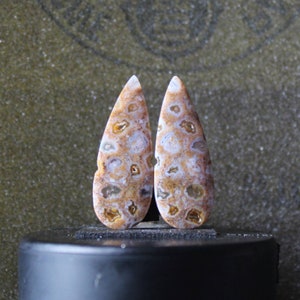 May include: Two teardrop-shaped cabochons of brown, white, and cream agate with a speckled pattern.