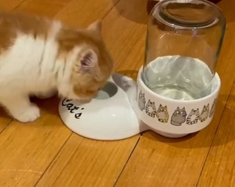 Ceramic Cat Water Bowl: Non-Wetting, Gravity-Fed,Long-Haired breed cats