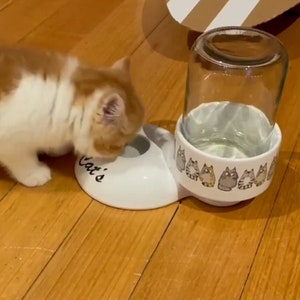 Kundenspezifisches Design Keramik Katzen Wassernapf/Wasserspender/Wassernapf für langhaar Katzen/nicht benetzender Wassernapf/Trinkspender/Haustiernapf