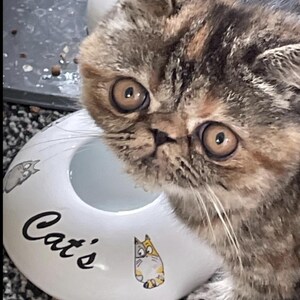 Handmade Ceramic Cat Water Bowl: Non-Wetting, Travel-Friendly image 2