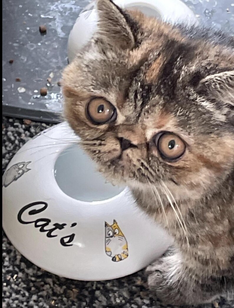 Handmade Ceramic Cat Water Bowl: Non-Wetting, Travel-Friendly image 2