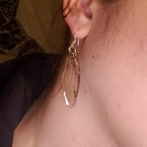 Cicada wing earrings