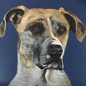 Custom Dog Portrait
