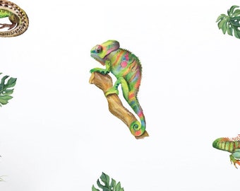 Colourful Lizard Wall Stickers, Kids Watercolour Decals, Rainbow Wall Decals, Removable Stickers, Gecko Wall Stickers